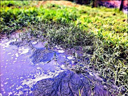 Consquences sur la sant d'une eau pollue