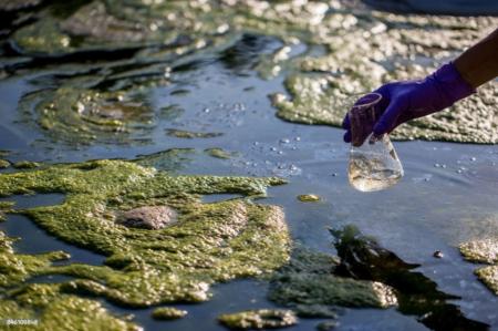 Initiatives pour lutter contre PFAS