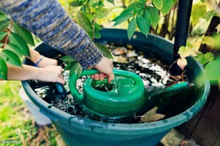 Rcupration de leau : ces utilisations interdites